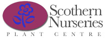 Scothern_Nurseries_Logo